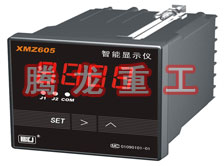 溫度表、數(shù)字顯示儀、濕度表