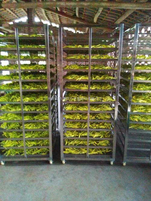 黃花菜烘干機、黃花菜烘干設備、黃花菜干燥機、黃花菜干燥設備、